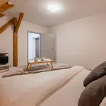 Romanticky Loft Parking U Hlavniho Nadrazi Apartment Olomouc